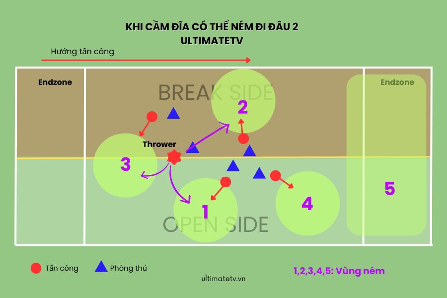Có một số khu vực mà bạn có thể ném đĩa an toàn